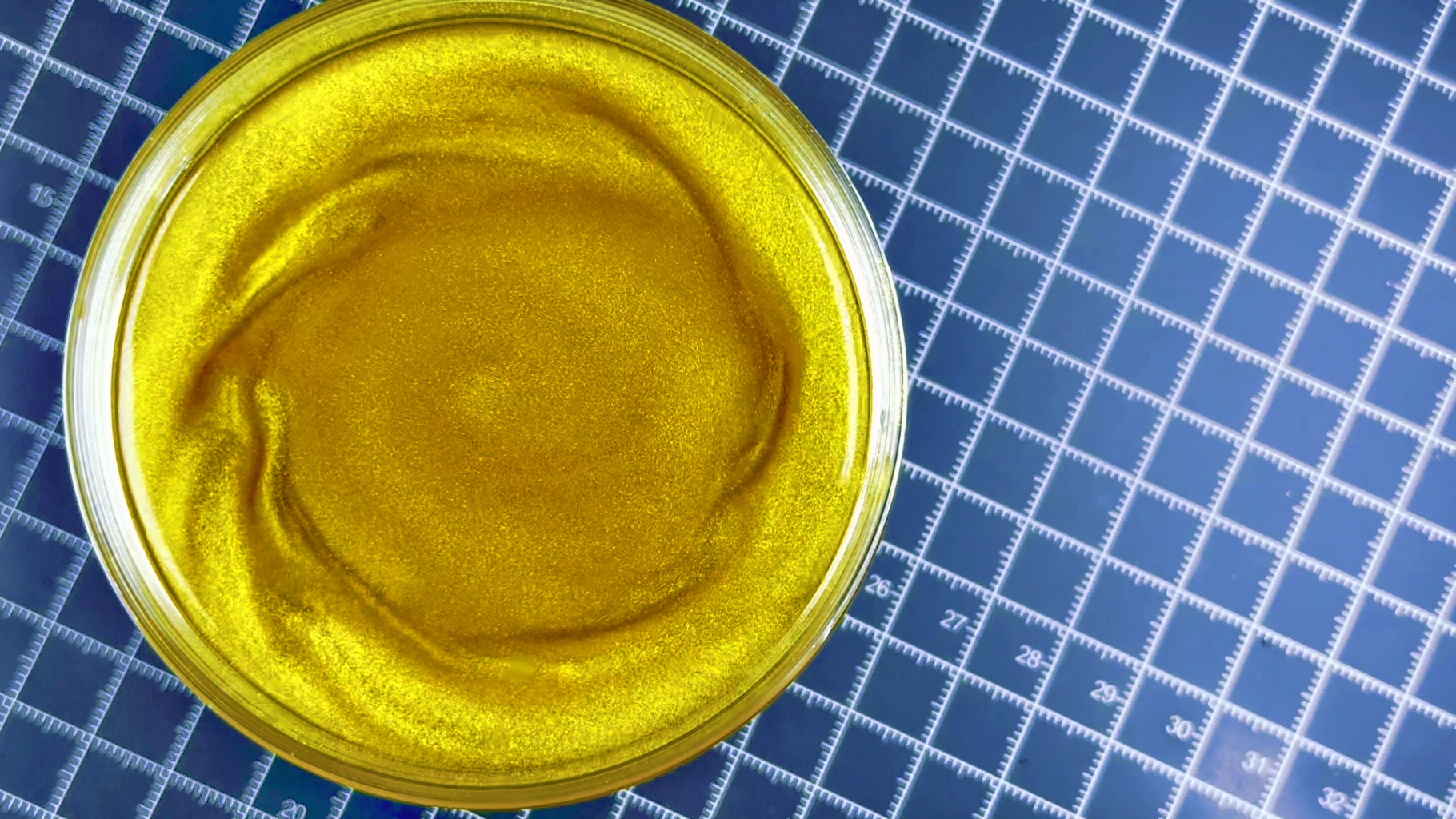 From Candy to Cars—We Bring the IncreEdible Sparkle!