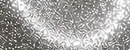 GS0100 Silver