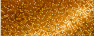 GS0202 Classic Gold