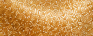 GS0206 Champagne Gold