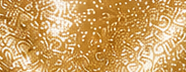 GS0212 Platinum Gold