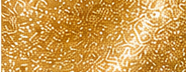 GS0222 Pale Gold