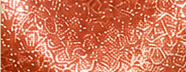 GS0228 Rose Gold