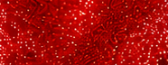 GS0301 Ruby Red