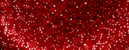 GS0304 Deep Ruby Red