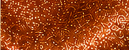 GS0401 Antique Copper