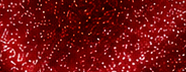 GS0407 Burgundy