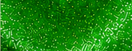 GS0609 Bright Green