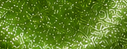 GS0609A Fresh Green