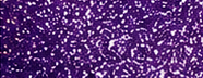 GS0801 Purple