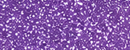 GS0802 Light Purple