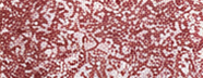GS0913 Pale Rose Red
