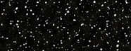 GS1000 Black
