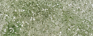 GSC16 Iridescent Olive Green